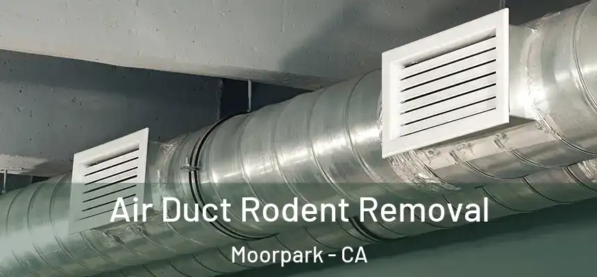 Air Duct Rodent Removal Moorpark - CA