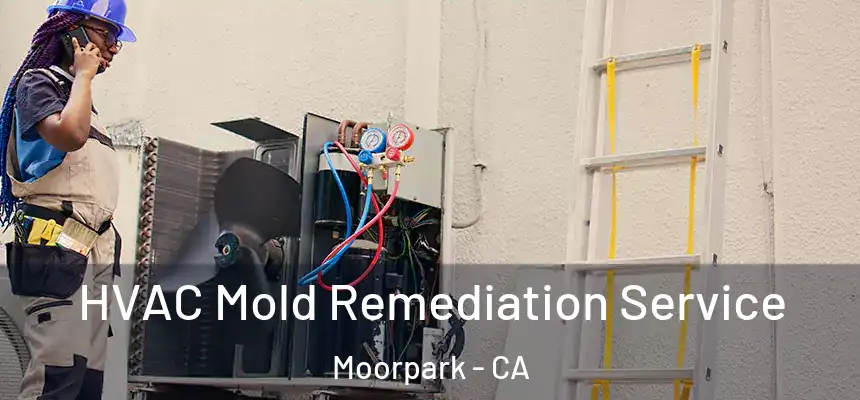 HVAC Mold Remediation Service Moorpark - CA