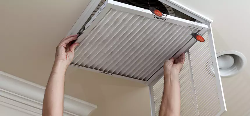 Preventive Cockroach-Proofing for Ducts in Moorpark