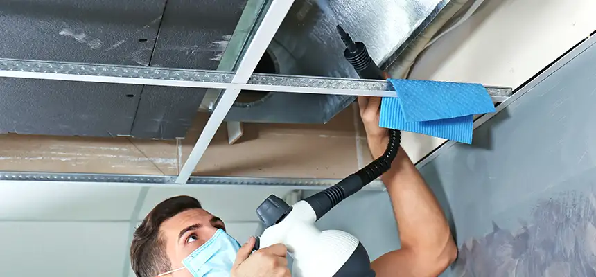 Our Air Duct Rodent Removal Services in Moorpark, CA
