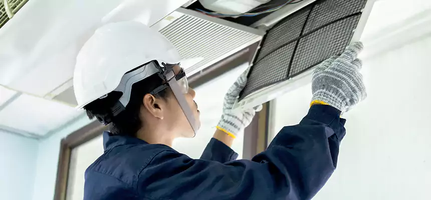 Our Mold & Mildew Removal from Air Ducts Services in Moorpark, CA