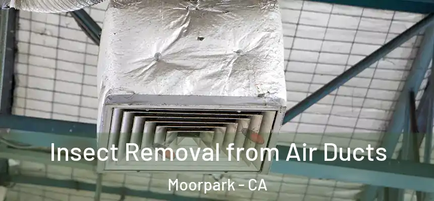  Insect Removal from Air Ducts Moorpark - CA