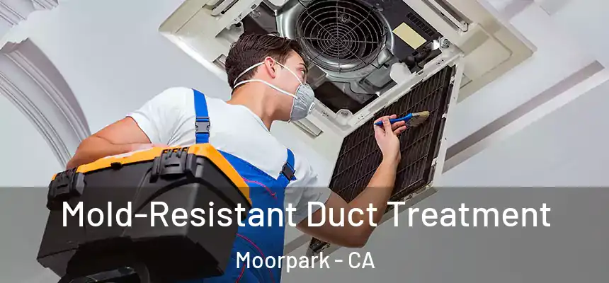 Mold-Resistant Duct Treatment Moorpark - CA