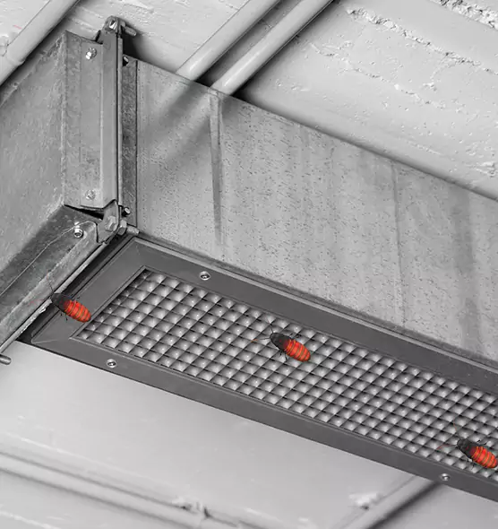 About Air Duct Cockroach Removal in Moorpark, CA