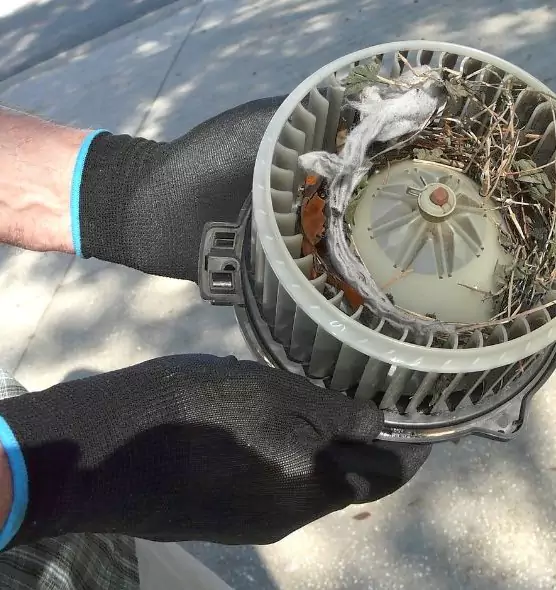 About Air Duct Mice Removal in Moorpark, CA