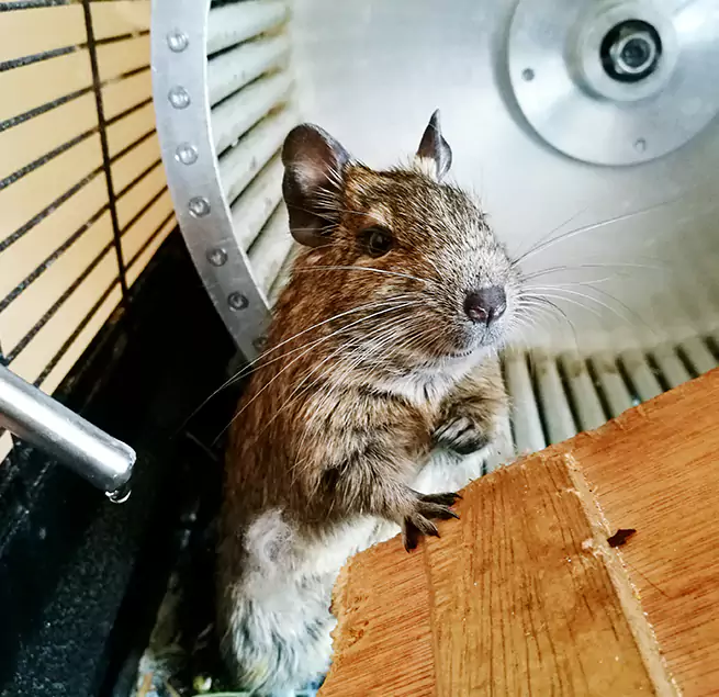 Why Homeowners & Businesses Trust Us Moorpark, CA?