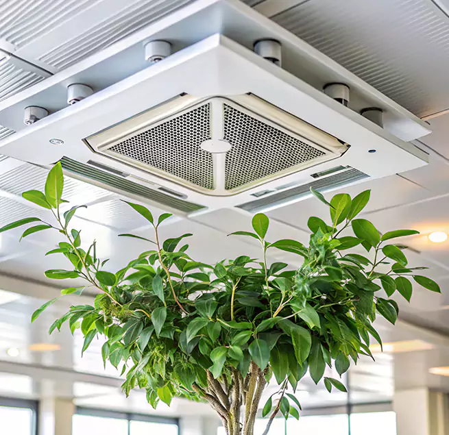 Why Homeowners & Businesses Trust Us in Moorpark, CA?